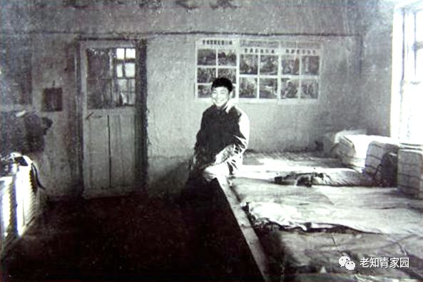 梁晓文《我眼中的二哥梁晓声》《梁晓声的北大荒往事》