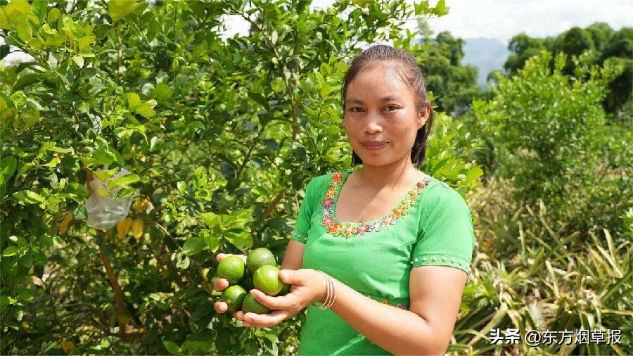 青柠的味道酸苦,青柠的香味描述