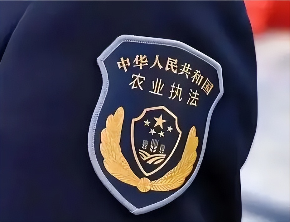 为什么要成立农业农村执法大队,临沂市农业农村执法大队最新动态