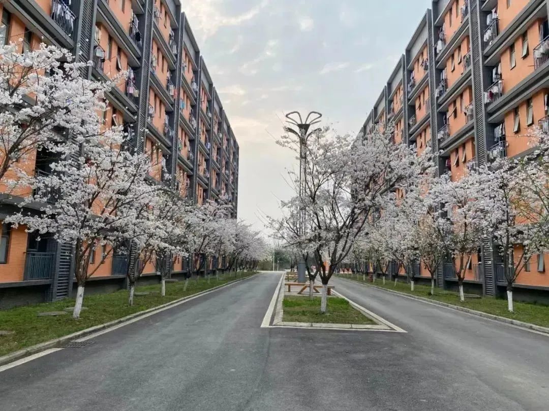 美翻了，四川高职院校风景如画，在这读书好巴适！