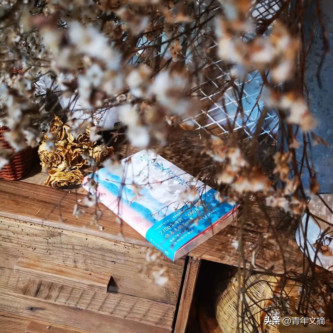 “四大美人”中的杨玉环到底有多美?