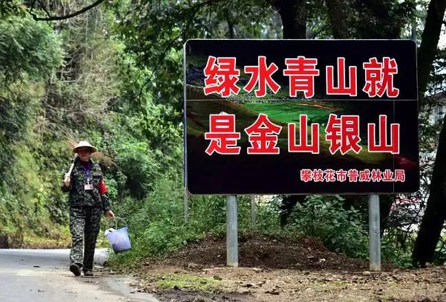 巴西产粮大国为什么还有人挨饿,粮食大国巴西为何百姓吃不上饭