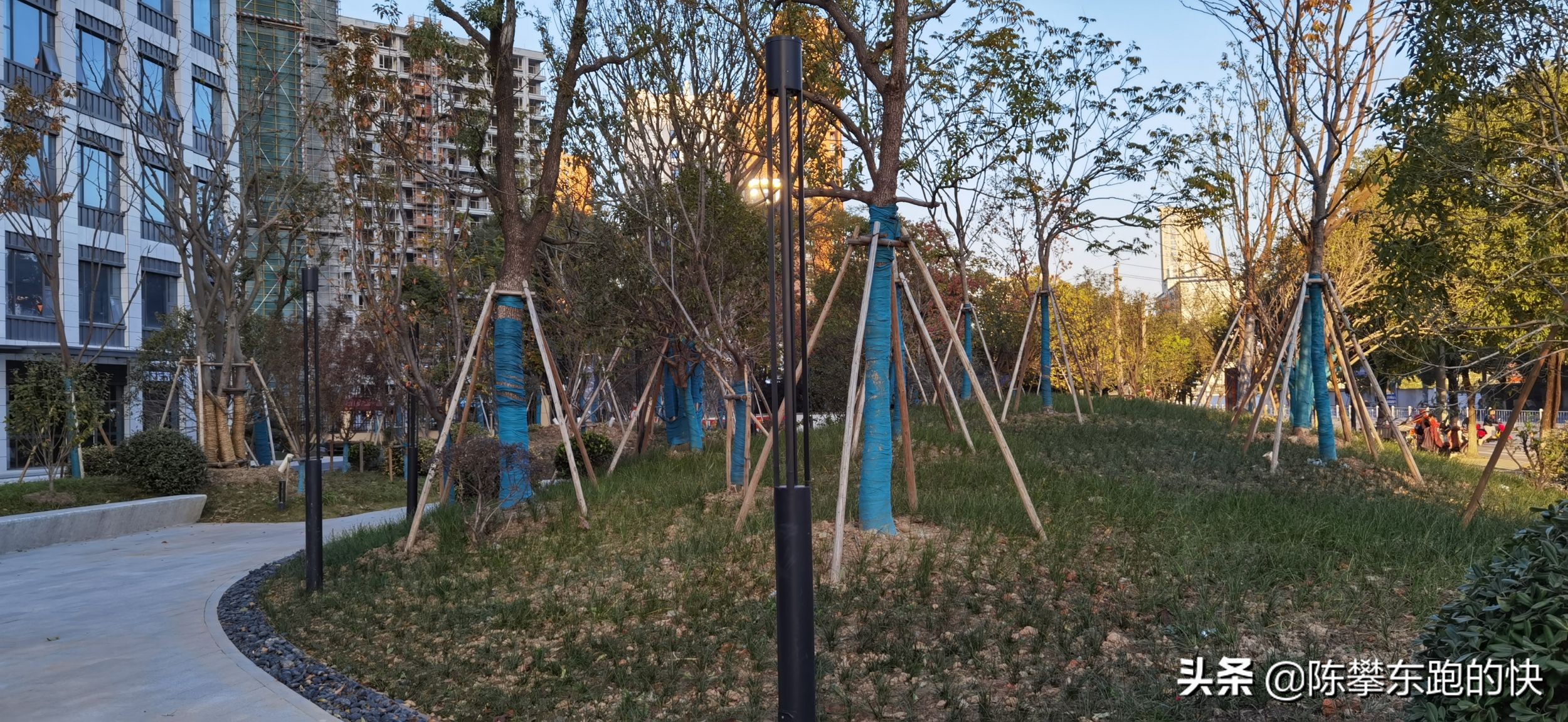 全国写字楼的招商政策哪家强,杭州企业宣传片怎么做