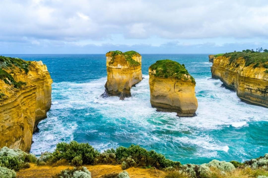 世界地图海鲜,澳大利亚最新海鲜图片