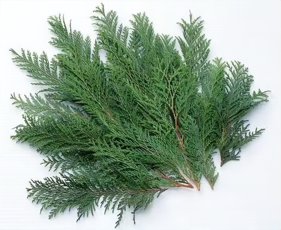 肝经湿热型带状疱疹一定要打针吗,带状疱疹肝经疼痛中药治疗