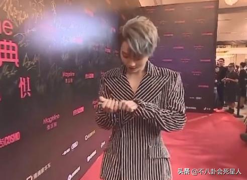 冬天走红毯穿得厚的女明星,女明星走红毯的穿着