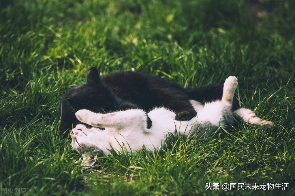 鐚挭鍙戞儏浜嗗彲浠ユ礂婢″墐姣涘悧,鍏尗鍜墐姣涘悗鍙戞儏鎬庝箞缂撹В