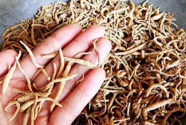 冠心病失眠心慌胸闷气短吃什么药,冠心病失眠寒凝心脉