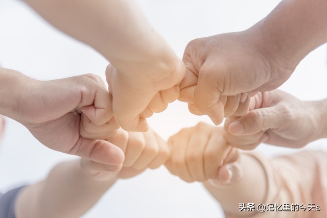 自媒体矩阵运营手册,自媒体入门基础想做自媒体的必看