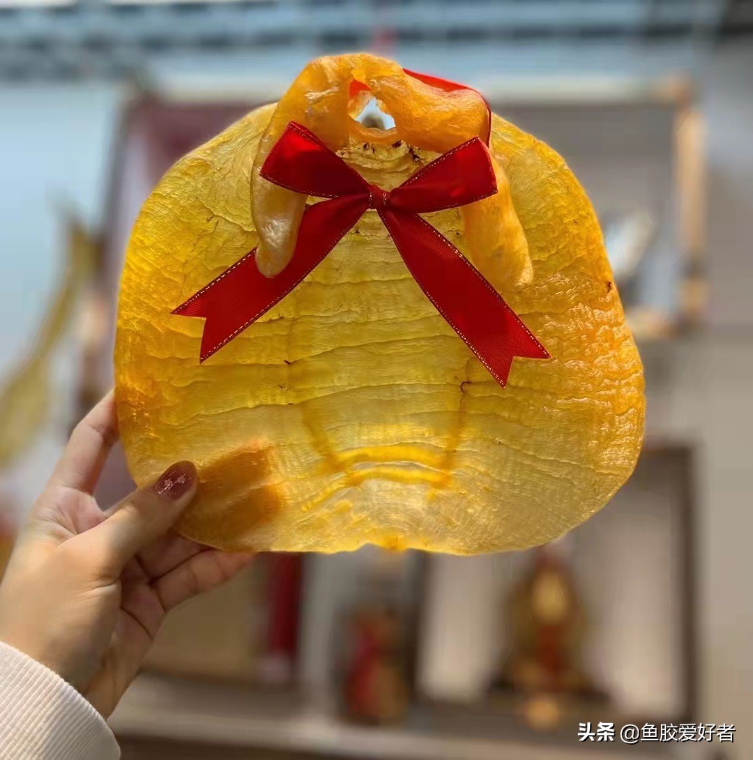 鳘鱼胶和赤嘴胶的区别,土鳘赤嘴母鱼胶功效