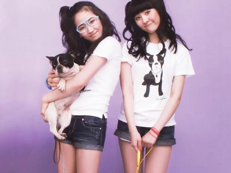 wonder girls组合 (wonder girls快乐大本营)