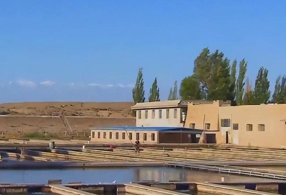 何延忠沙漠养鱼完整视频,何延忠治沙