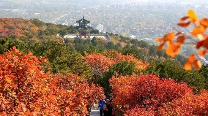 国庆假期北京西山森林公园攻略,北京赏秋小众景区