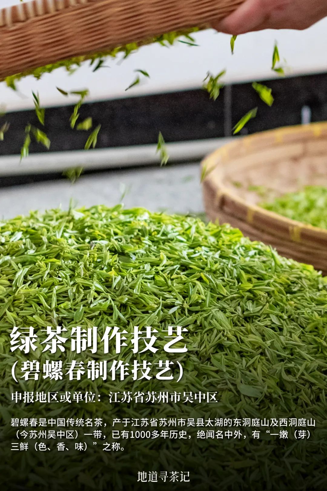 史上最全“中国传统制茶技艺及其相关习俗”展示，建议收藏！