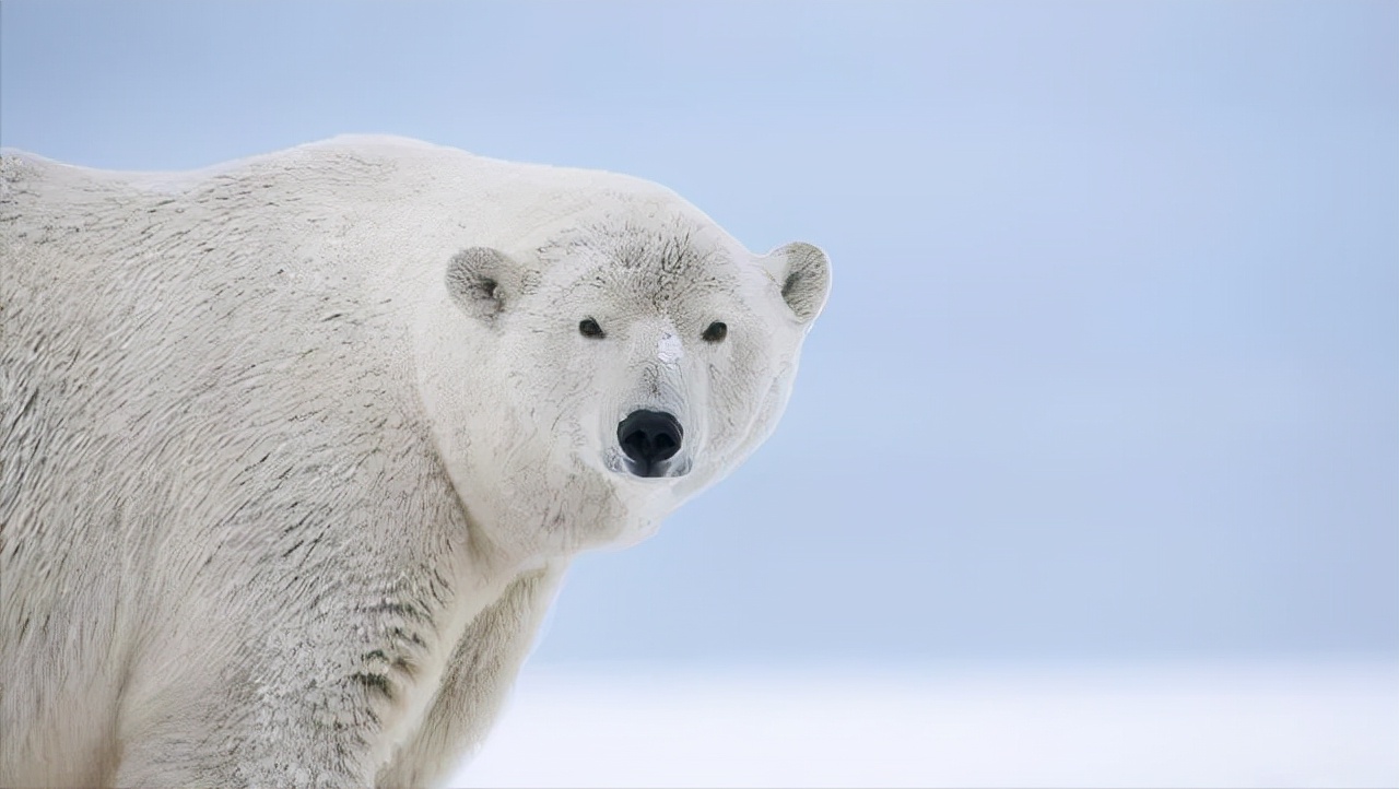强迫症痊愈的最佳方法,强迫症自愈可以尝试这6种方法