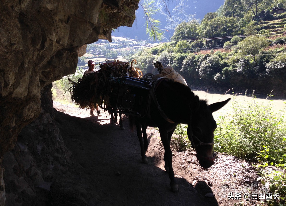远去的驮铃声（十）抚仙湖畔的约定