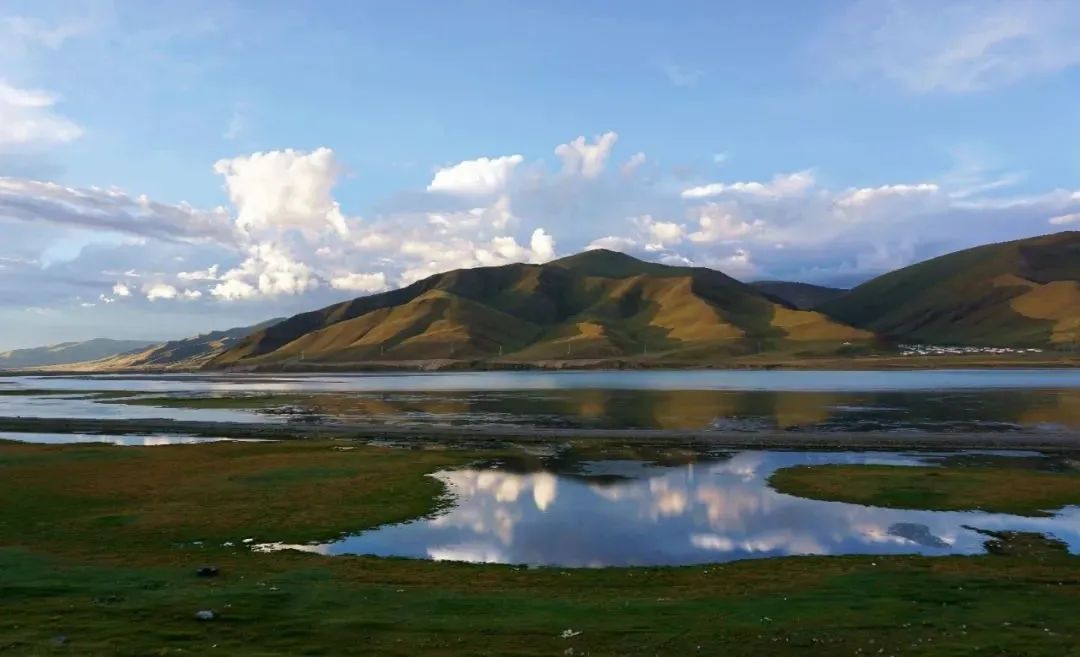 风中传来的气息,风中传来了苦咸的气息