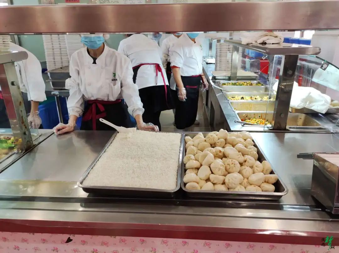 生态城小外小学部好吗,滨海小外小学食堂