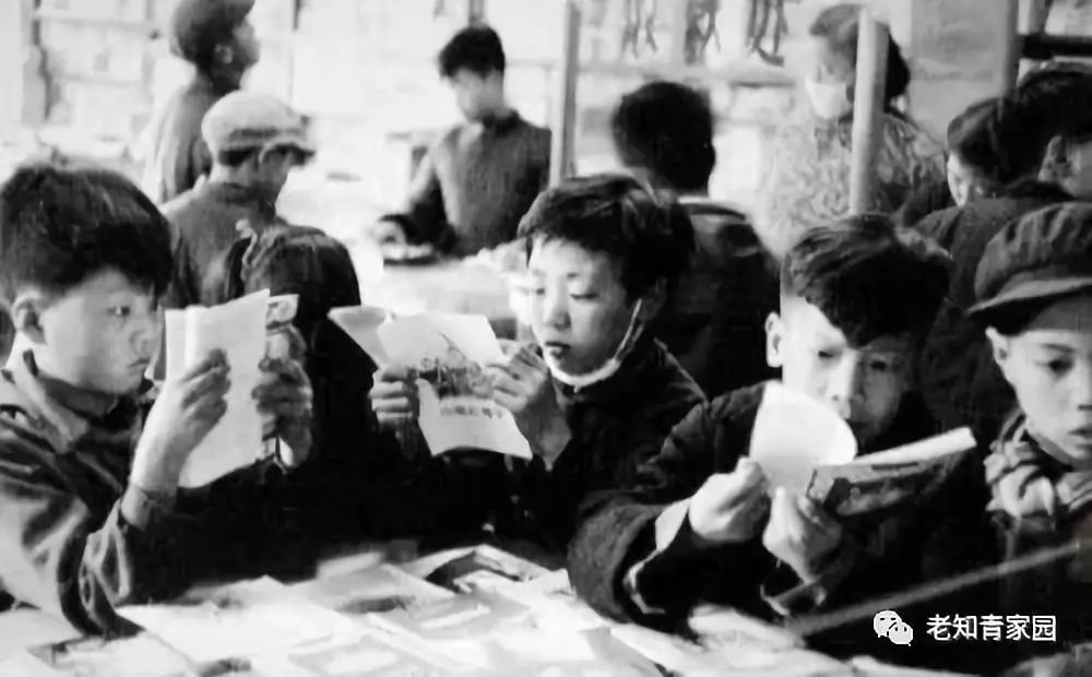 50年代的少年,50年代的人成长经历