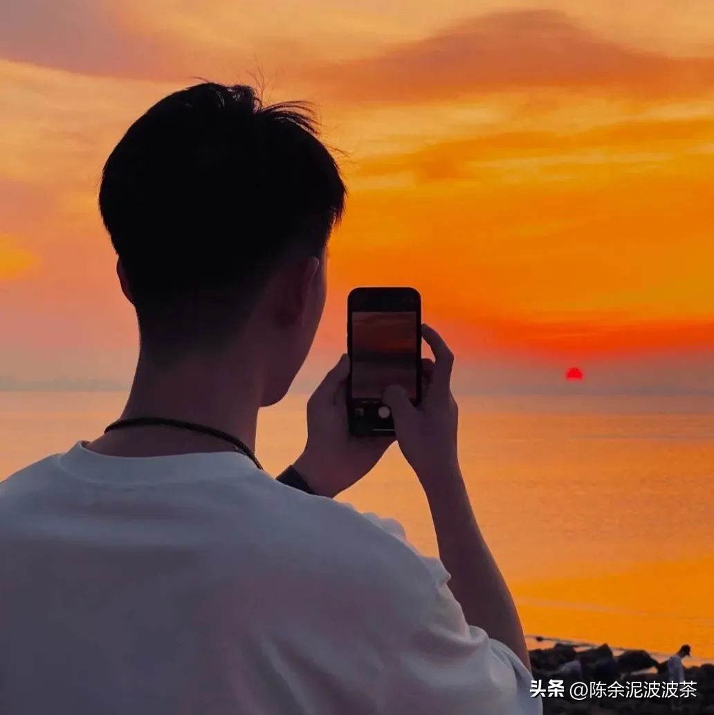 可爱的猫咪头像和小狗头像,团子头像可爱微信头像