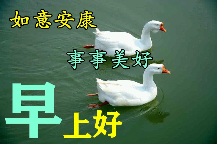 清晨问候早上好祝福动态图片,周六早上好动态图片早安心语