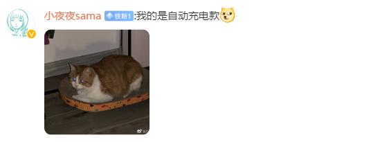 每日一笑最新段子,段子每日一笑