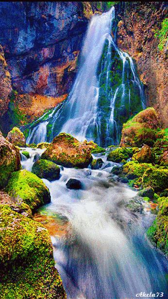 世界最美山水花鸟高清图片,精美山水花鸟图片大全