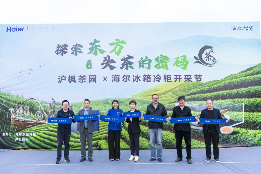 探索东方头茶的密码，沪枫茶园海尔冰箱冷柜开采节正式启动