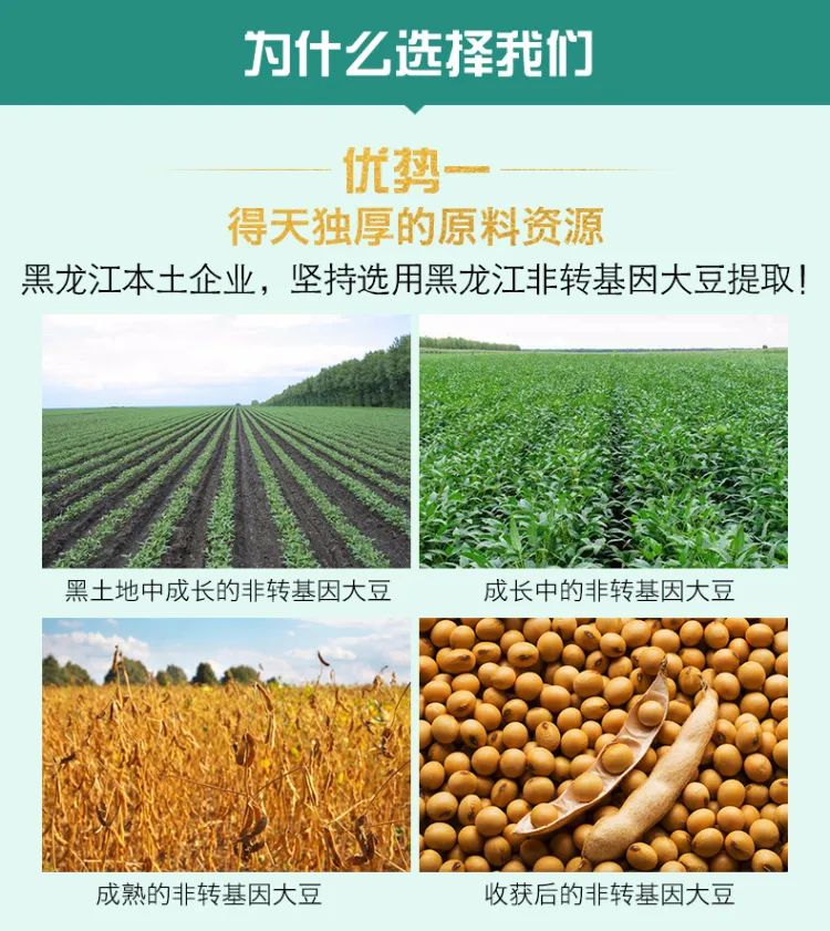 国产东北非转基因大豆价格,进口转基因大豆与东北大豆差价