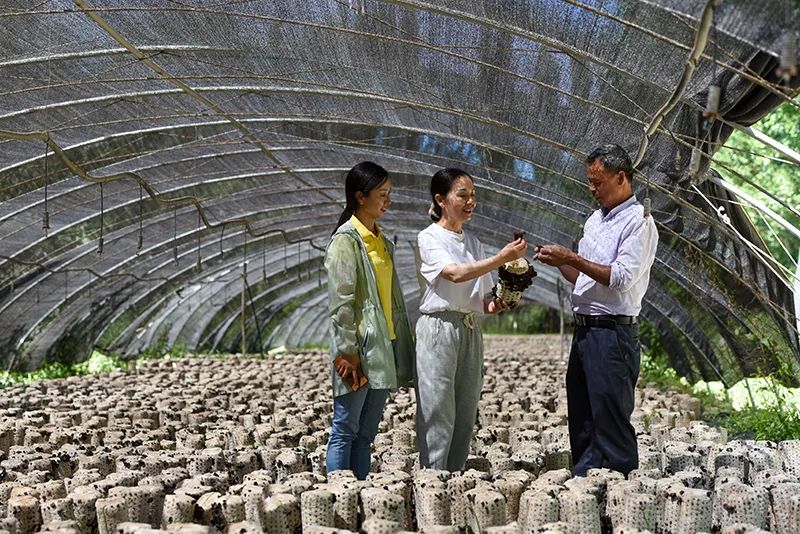 *党**的十九大以来以习*平近**同志为核心的*党**中央贯彻执行中央八项规定、推进作风建设综述