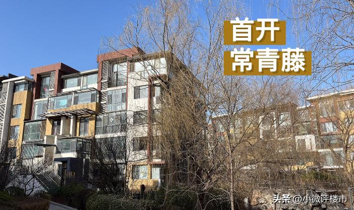 东坝房价会跌吗2024年,东坝房价为什么贵