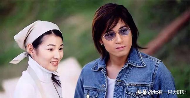 薰衣草从零开始,薰衣草诠释爱情