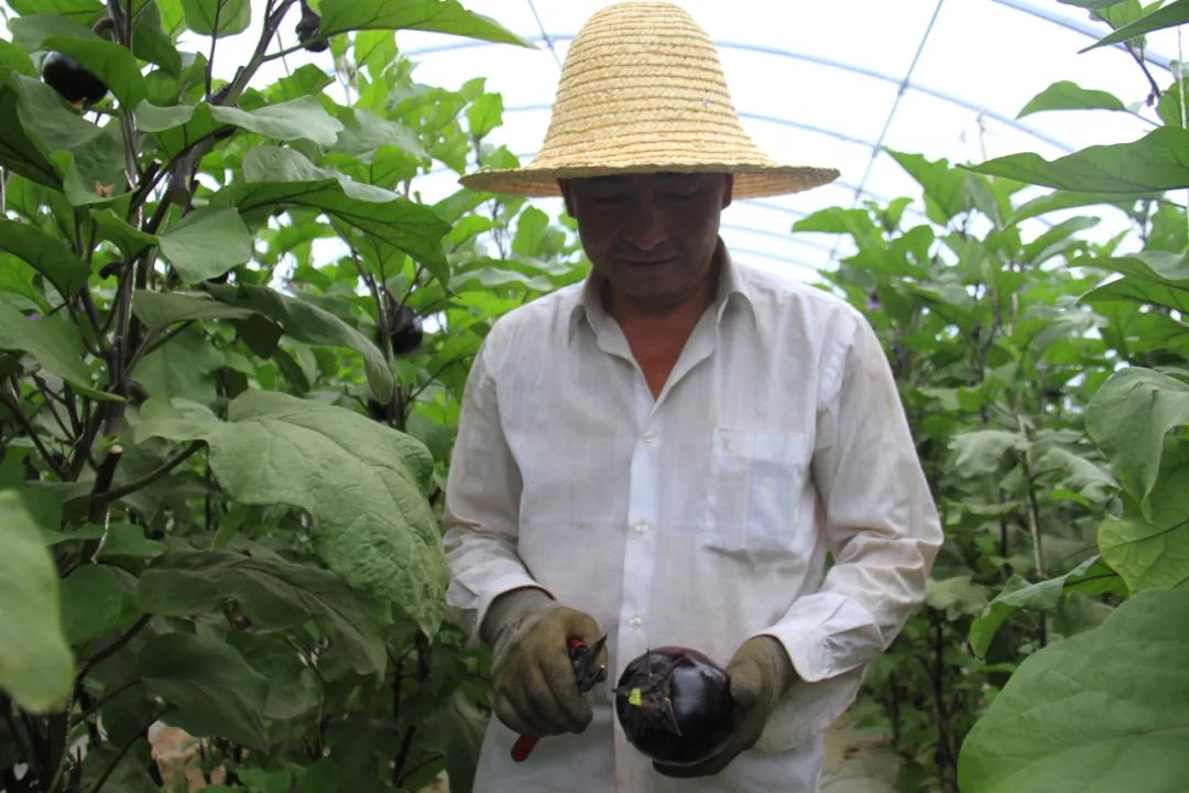 白银生态美景,白银大地山水