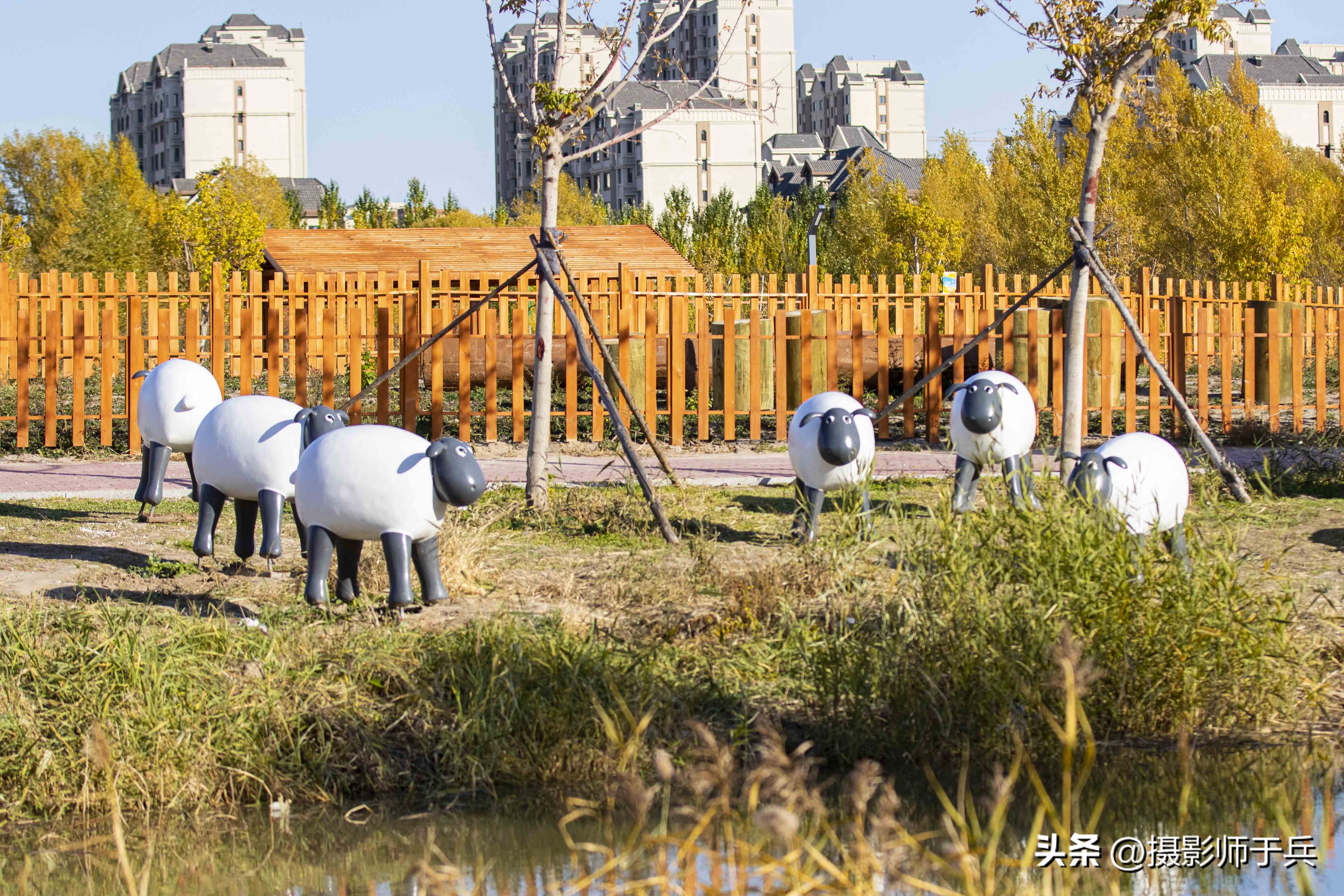 大庆环湖绿道,大庆滨水绿道创意空间
