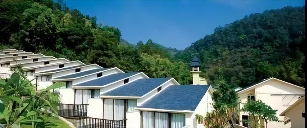 武夷星枞魁茶叶价格 (芳魁茶业有限公司电话)