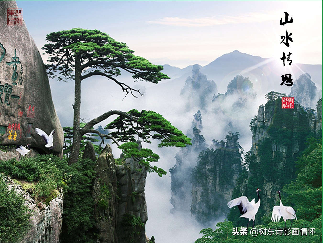 大雪压青松青松挺且直是谁写的诗,大雪压青松青松挺且直象征意义