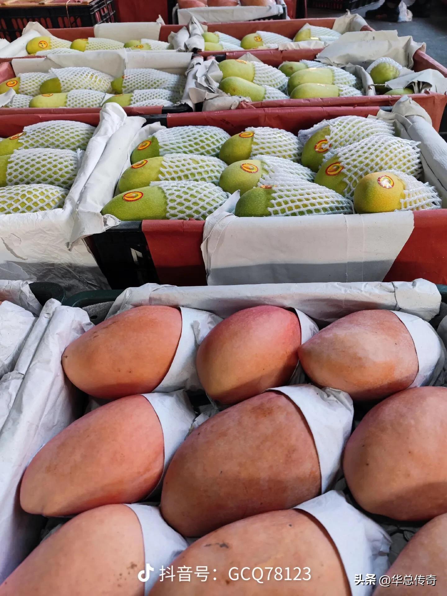 海南的蔬菜水果为什么贵,海南省哪个市的水果最便宜