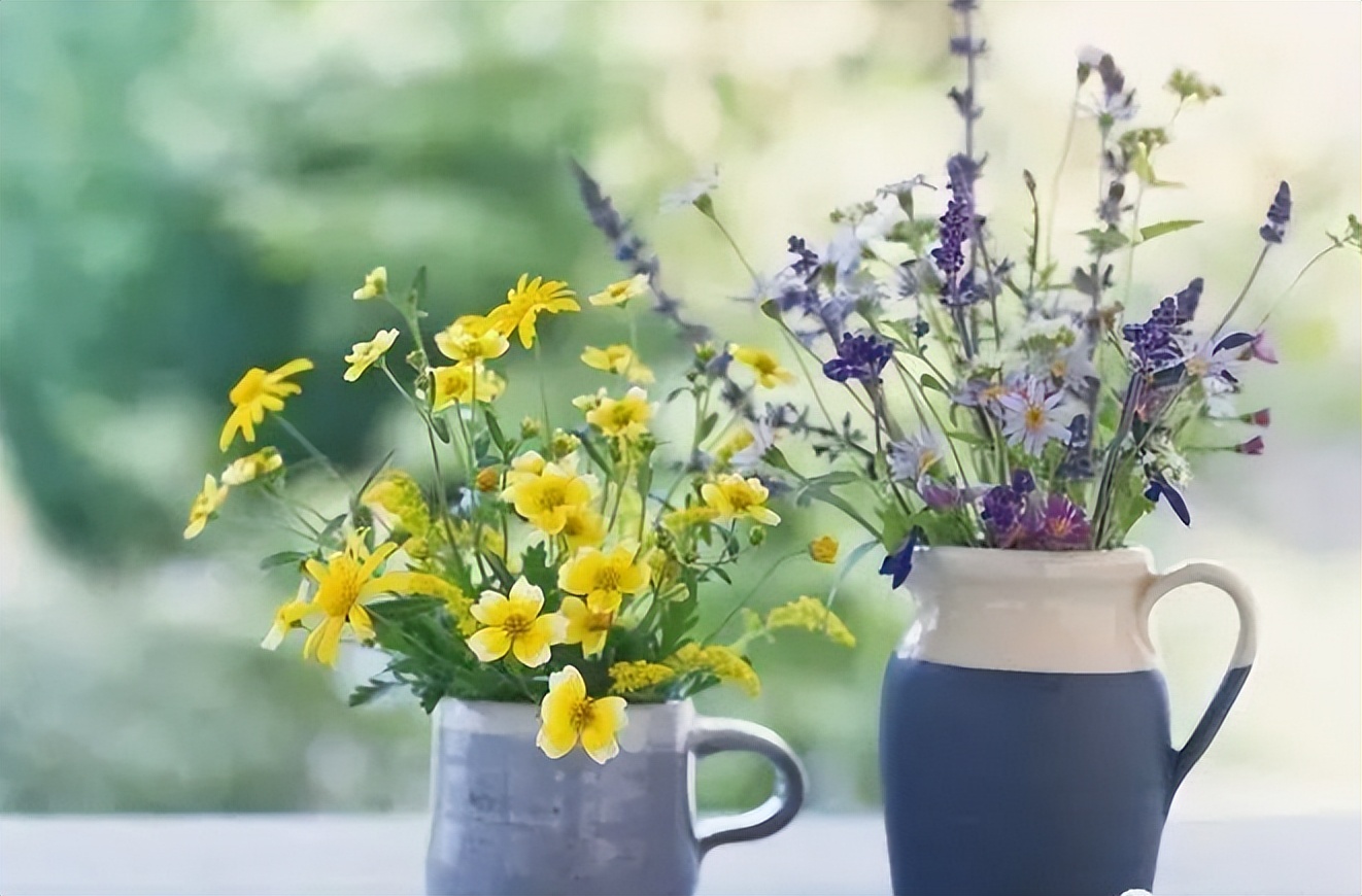 亲人之间的远近关系,亲人之间也是有远近之分的