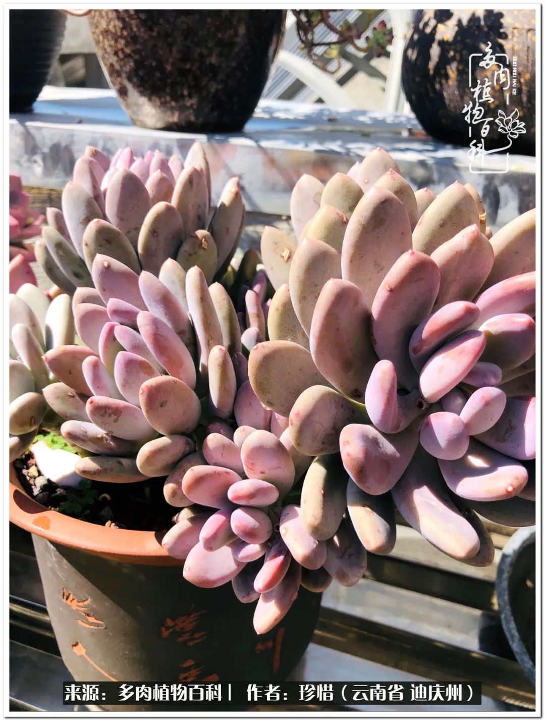 给生命一份淡然还岁月一份从容,给生命留一份洒脱的话