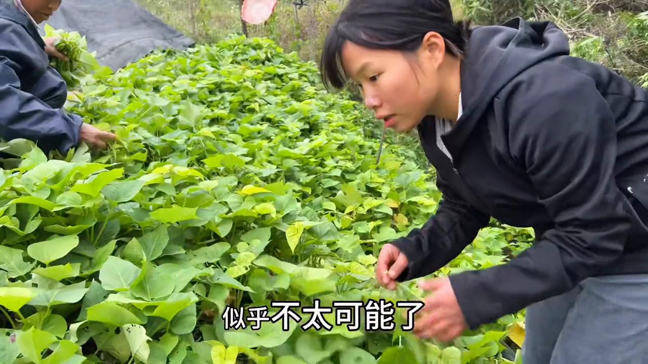 20岁了，没有一个男的追过我。到底哪个步骤出现了问题？#素颜