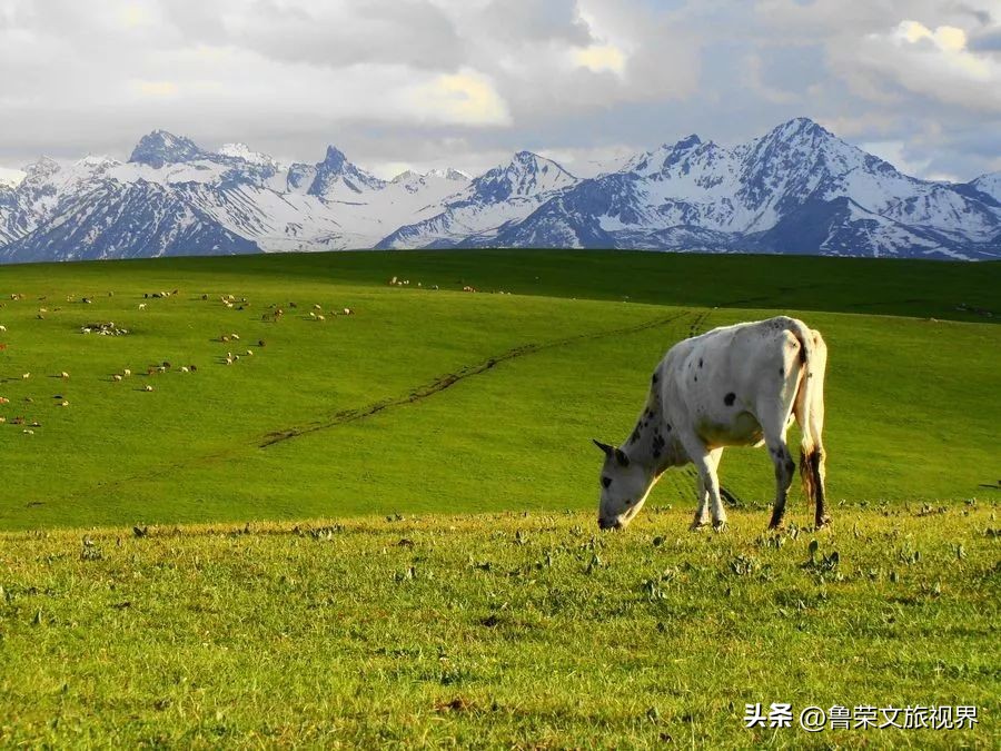 大美新疆的风景有哪些,大美新疆北疆美