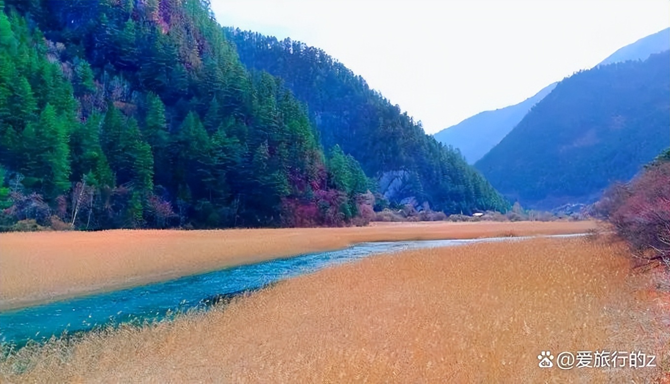 成都九寨沟旅游攻略自由行攻略,九寨沟旅游攻略及详解