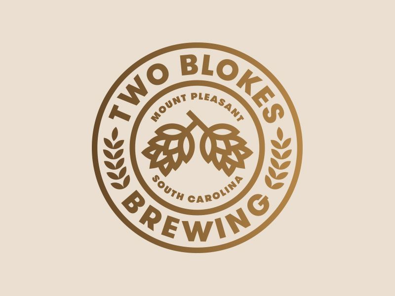 d和s标志logo设计,重复渐变字母logo标志设计