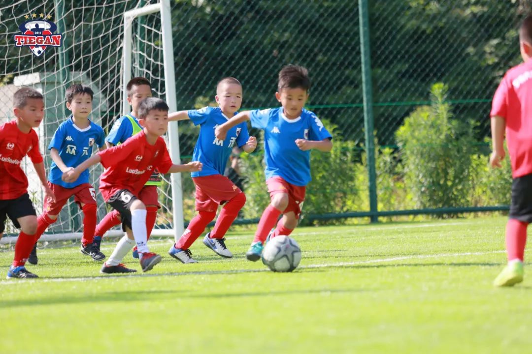 校队风采,校师团队风采