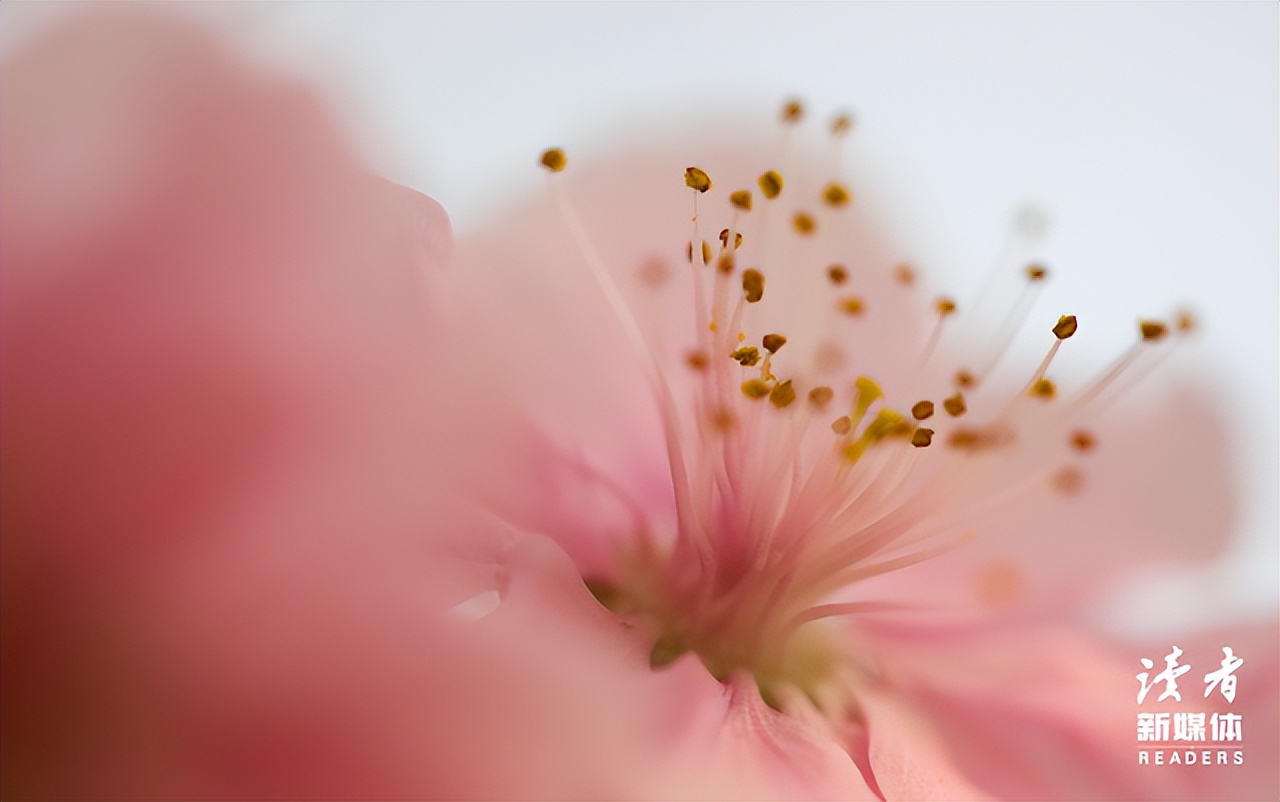 人生最值钱的四大投资