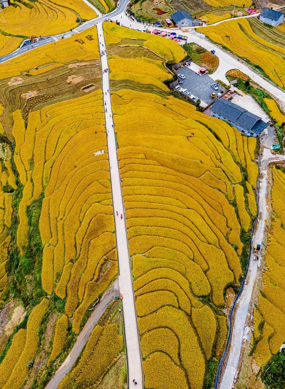 张颂文说的是客家话还是粤语,张颂文难怪会说客家话