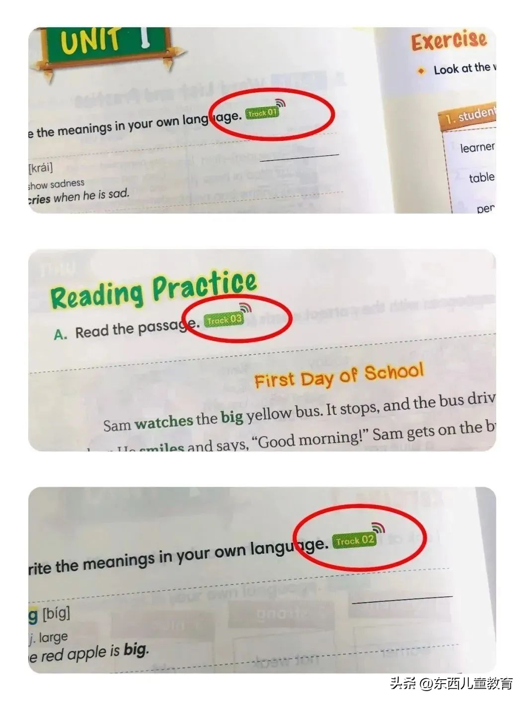 初升高快速记住英语单词书,江西省初中英语单词必背3500词汇