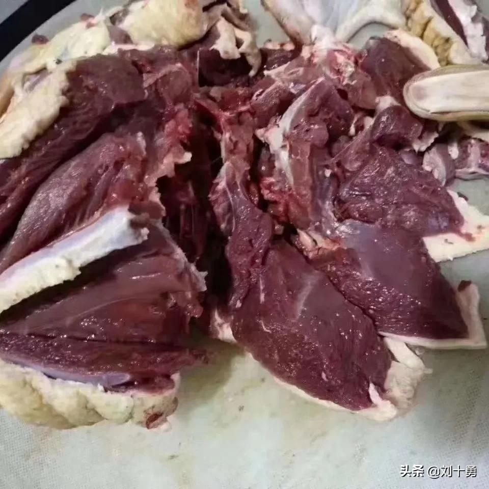 人间美味的动物有哪些,大雁做法和营养价值