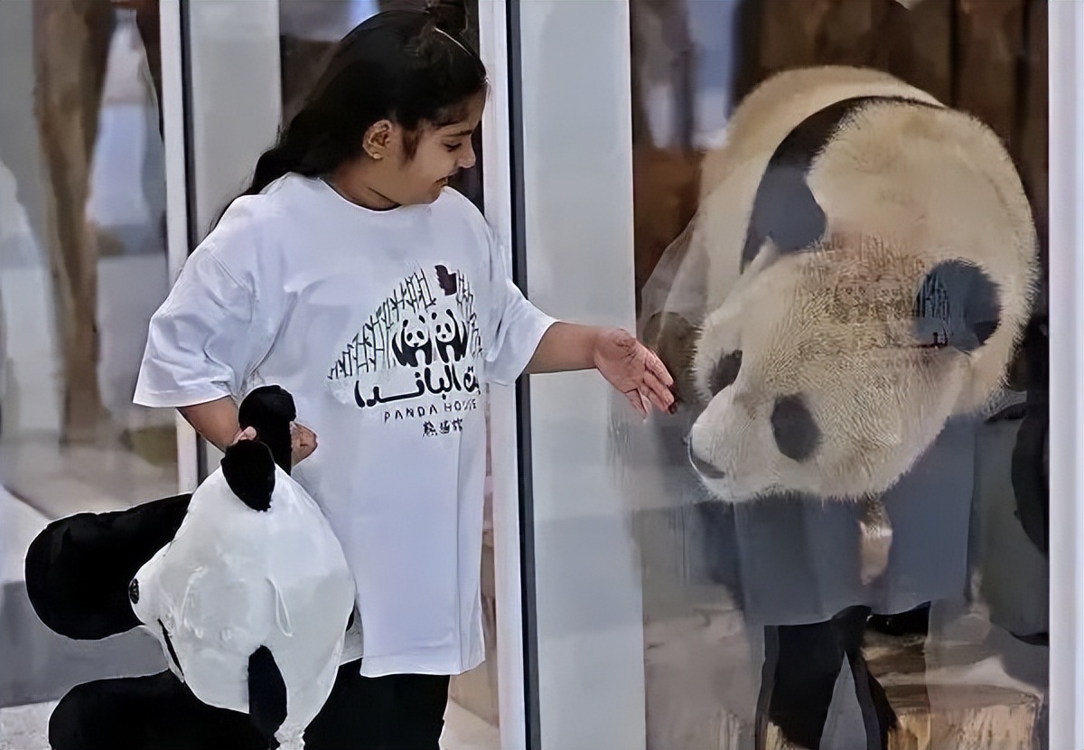 这颗球从千年前的山东淄博，被踢到了2022年的卡塔尔