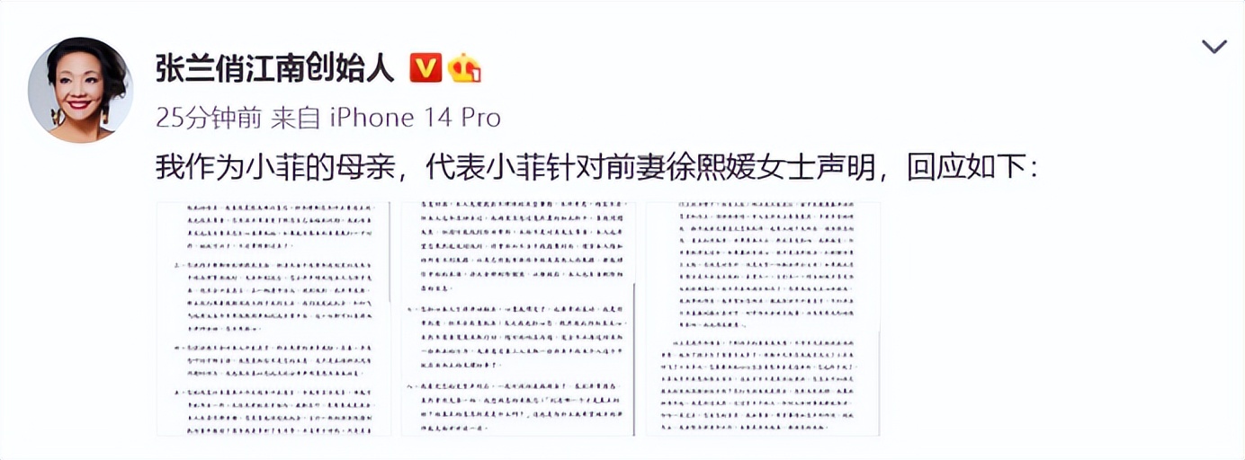 帮汪小菲打赢名画的律师团队,汪小菲给大s剥虾被张雨绮怒怼